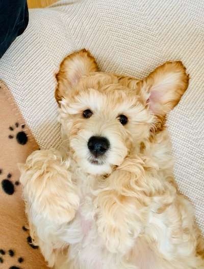 Fotochallange Nr. 57     PORTRÄT.   Beendet!!!!!!!!-Beitrag-Bild