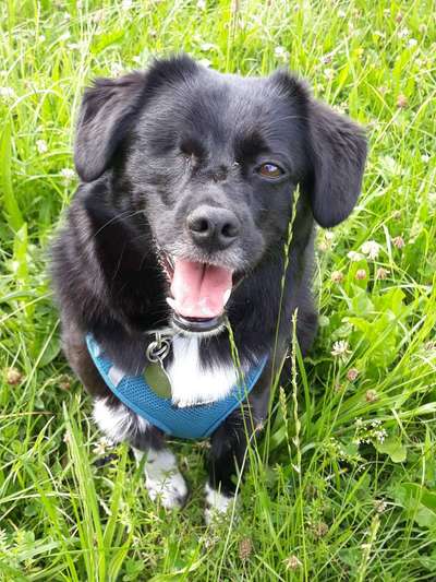 Lieblingsbild-Beitrag-Bild