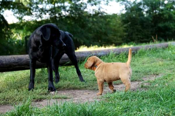 Liebling ,richtig in Szene setzen-Beitrag-Bild