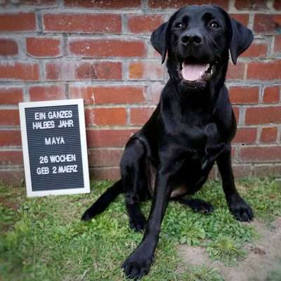 Immer lächeln !-Beitrag-Bild