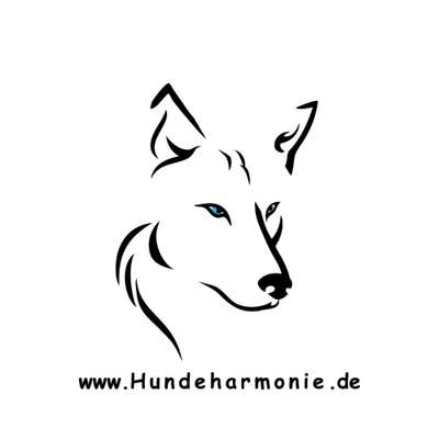 Hundeschulen-Hundeharmonie-Bild