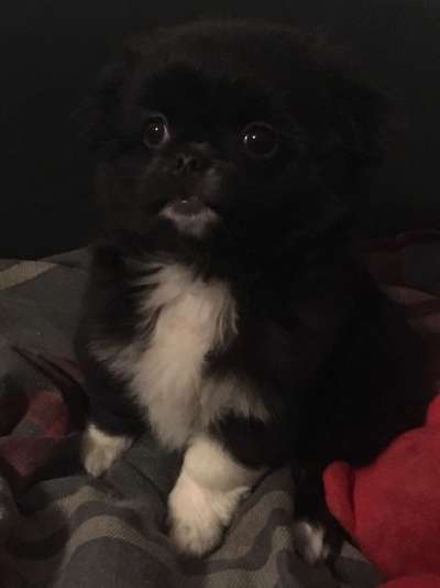 Sie werden so schnell erwachsen ...-Beitrag-Bild