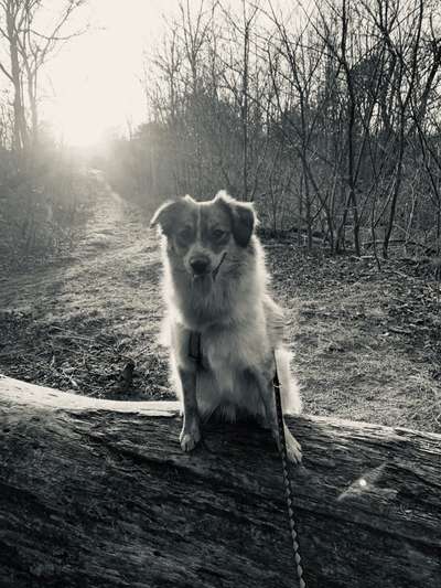 Foto-Challenge 76: Foto in Schwarz-Weiss-Beitrag-Bild