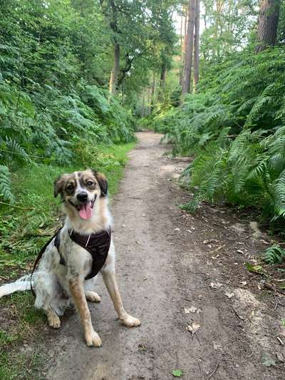 Theos  Fotochallenge Nummer 2-Beitrag-Bild