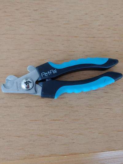 Windhunde - Treffen der besonderen Schönheiten
HERZLICH WILLKOMMEN-Beitrag-Bild