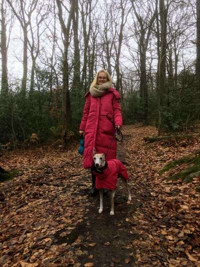 Windhunde - Treffen der besonderen Schönheiten
HERZLICH WILLKOMMEN-Beitrag-Bild