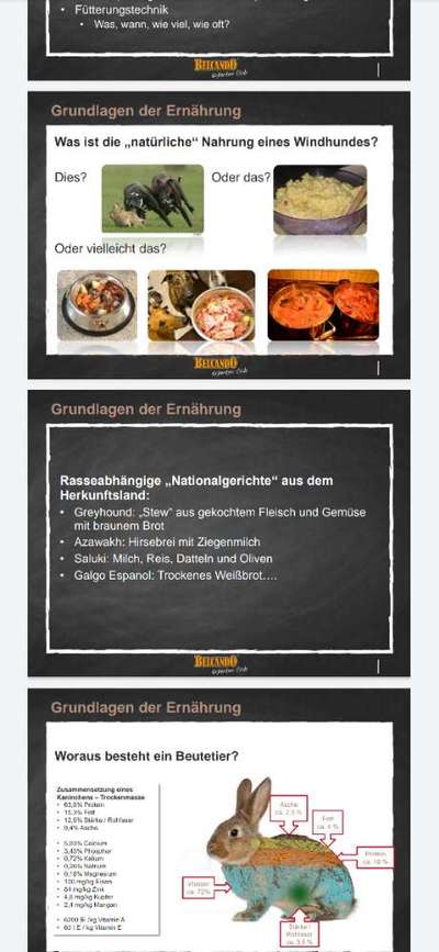 Windhunde - Treffen der besonderen Schönheiten
HERZLICH WILLKOMMEN-Beitrag-Bild