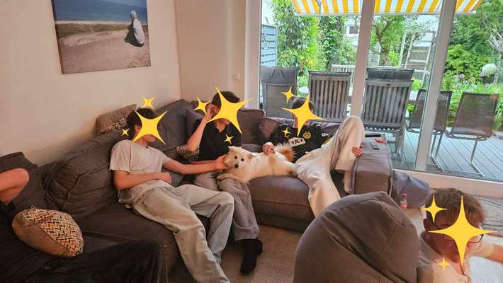 Freddys Kummerkasten-Beitrag-Bild