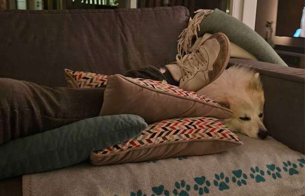 Freddys Kummerkasten-Beitrag-Bild