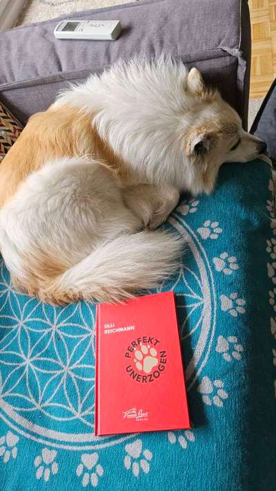 "Wege zur Freundschaft" (Ulli Reichmann)-Beitrag-Bild