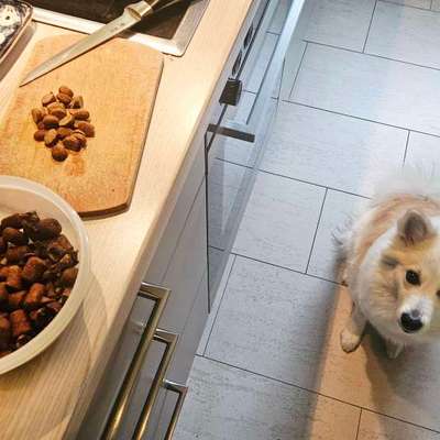 Freddys Kummerkasten-Beitrag-Bild