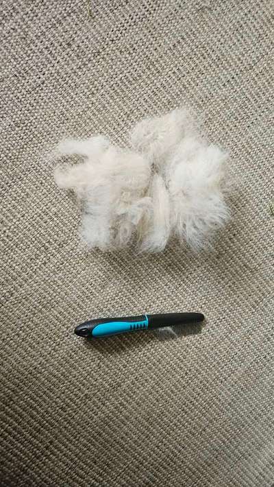 Haaren im Juli?-Beitrag-Bild