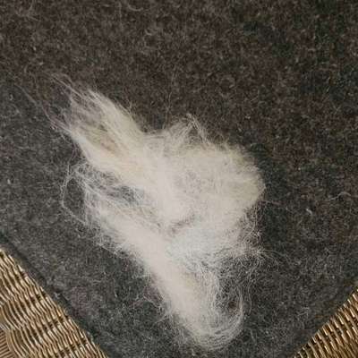 Bürstenempfehlung-Beitrag-Bild