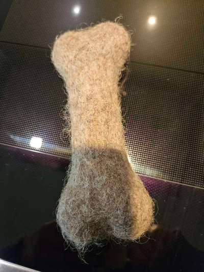 Spielzeug welches lange hält?-Beitrag-Bild