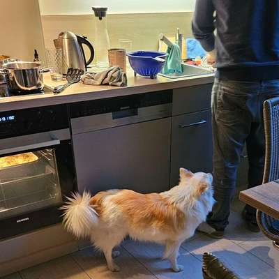 Freddys Kummerkasten-Beitrag-Bild