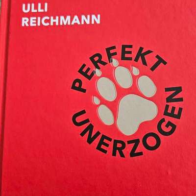 "Wege zur Freundschaft" (Ulli Reichmann)-Beitrag-Bild