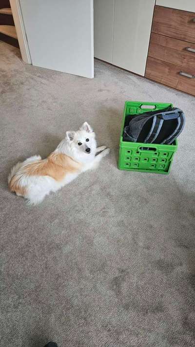 Freddys Kummerkasten-Beitrag-Bild