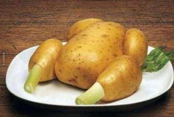 Jagdhundeausbildung an lebenden Enten – notwendig oder unethisch? 🐾-Beitrag-Bild