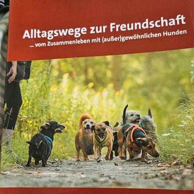 "Wege zur Freundschaft" (Ulli Reichmann)-Beitrag-Bild