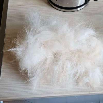 Freddys Kummerkasten-Beitrag-Bild