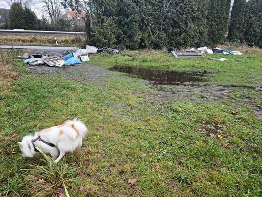 Was hat euch heute genervt?-Beitrag-Bild