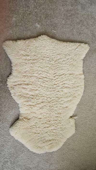 Lammfell für Welpe-Beitrag-Bild