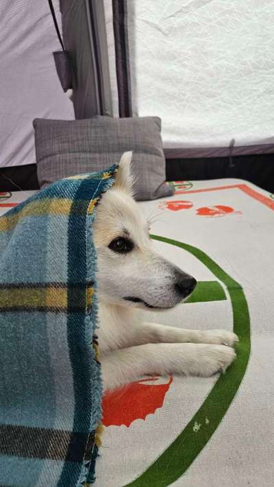 Angst vor Wind, wenn in der Wohnung-Beitrag-Bild