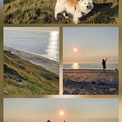 Urlaub in Dänemark-Beitrag-Bild