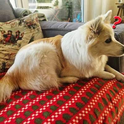 Freddys Kummerkasten-Beitrag-Bild