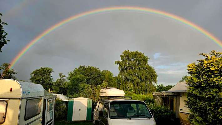 Freddys Kummerkasten-Beitrag-Bild