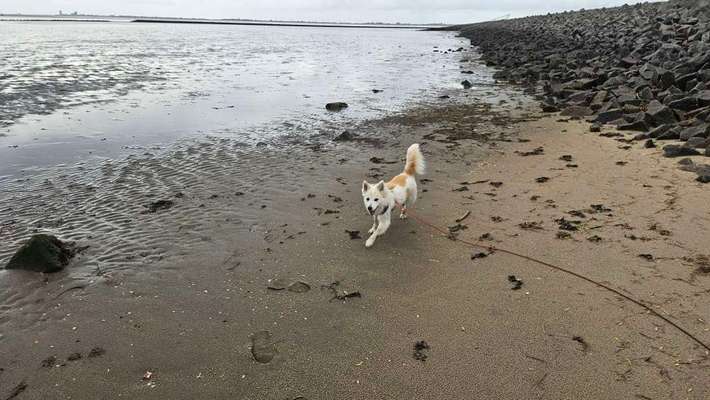 Freddys Kummerkasten-Beitrag-Bild