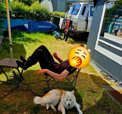 Camping mit Hund/en-Beitrag-Bild