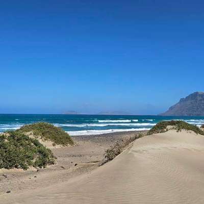 Was hat euch heute gefreut?-Beitrag-Bild