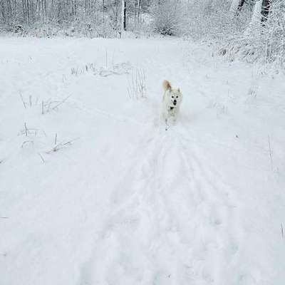 Was hat euch heute gefreut?-Beitrag-Bild