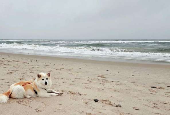 Was hat euch heute genervt?-Beitrag-Bild