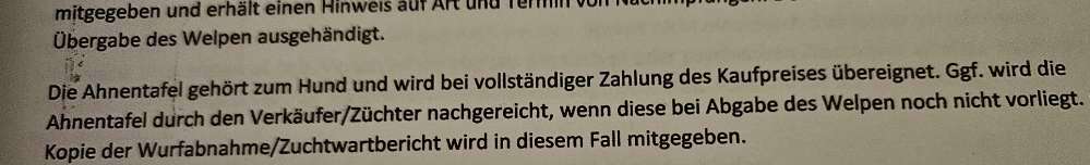 Nachträgliche Ahnentafel?-Beitrag-Bild