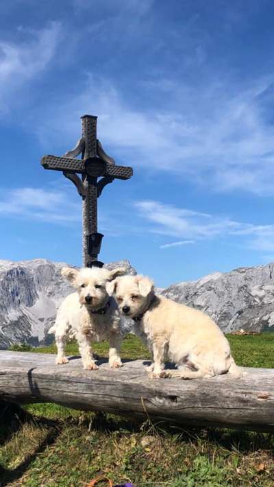 156. Fotochallenge *** DEIN HUND UND DIE WUNDERSCHÖNEN WOLKEN ***-Beitrag-Bild