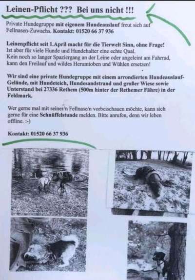 Hundetreffen-Privates Hundeauslauf-Gelände-Bild