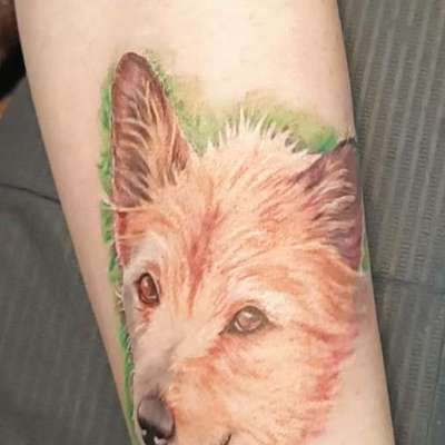 Andenken nach dem Verlust des Seelenhundes-Beitrag-Bild