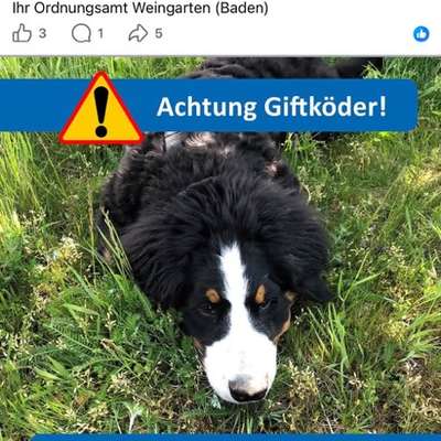 Giftköder-Giftköder-Bild