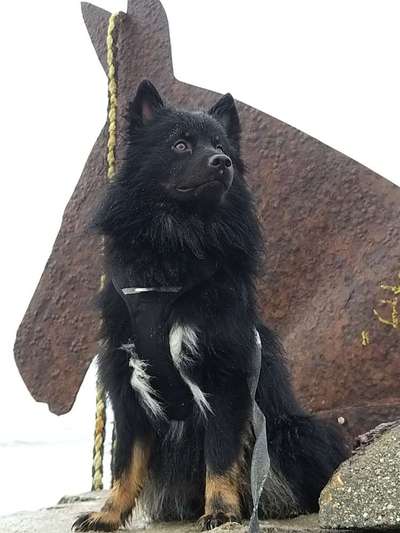 149. Foto Challenge: Wer ist hier der Boss!-Beitrag-Bild