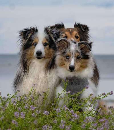 Handy-Foto-Challange Nr. 8-Beitrag-Bild