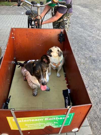 Außergewöhnliche Merkmale-Beitrag-Bild