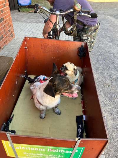 Doppelgänger gesucht !-Beitrag-Bild