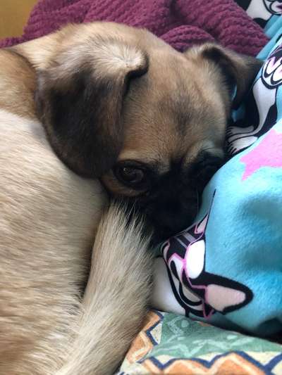 Fotochallange - Eingekugelt-Beitrag-Bild