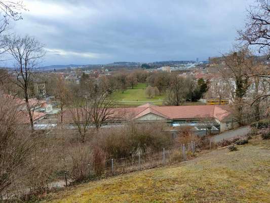 Hundeauslaufgebiet-Kurpark Bad Cannstatt-Bild