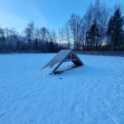 Hundeauslaufgebiet-Seeuferstraße-Bild