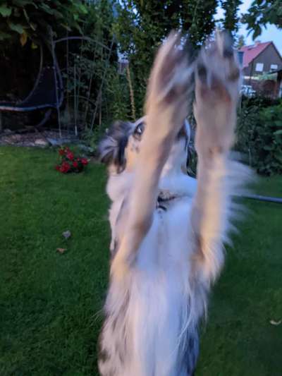 Trick Challenge Nr. 15-Beitrag-Bild