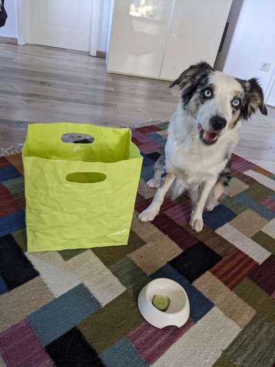 36. Trick-Challenge: Aufräumen!-Beitrag-Bild