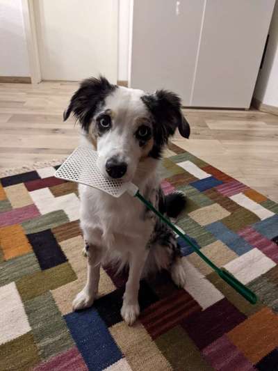 Trick Challenge 13 - Etwas Halten-Beitrag-Bild